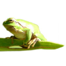 about_sq.gif